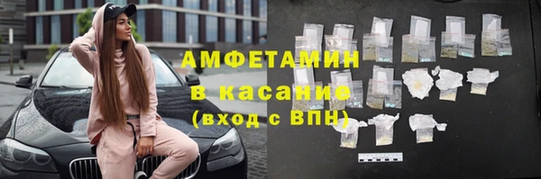 сатива Сатка