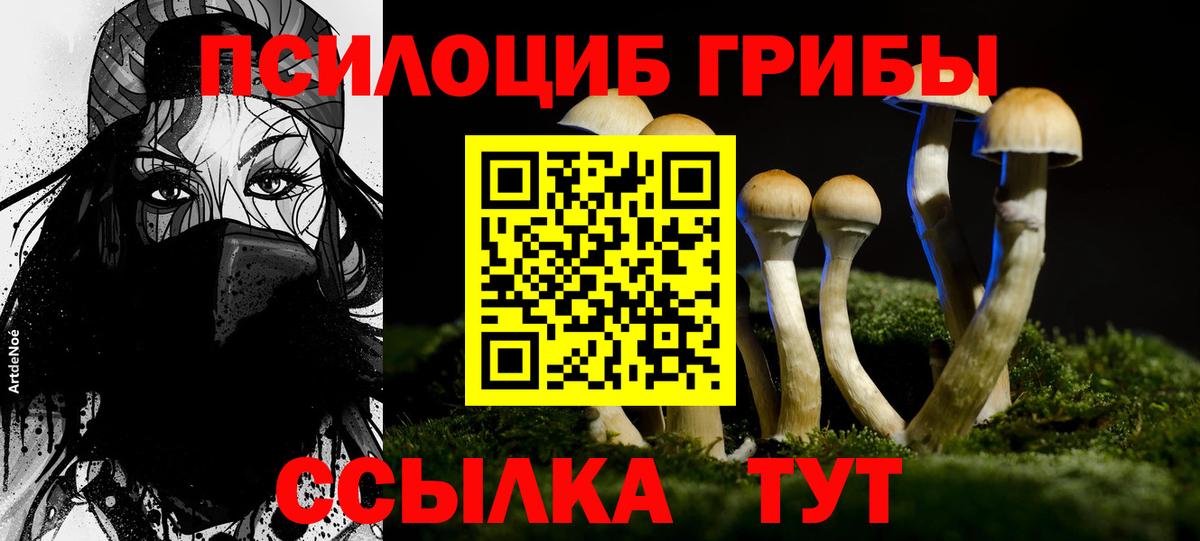 Нягань  Галлюциногенные грибы MAGIC MUSHROOMS  Вход с VPN 